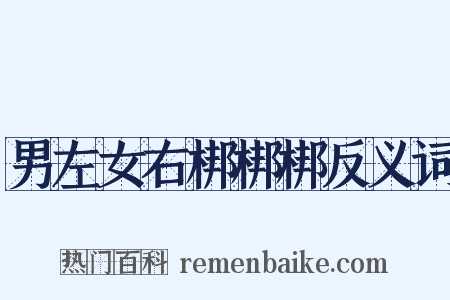 男左女右梆梆梆反义词是什么意思的图片